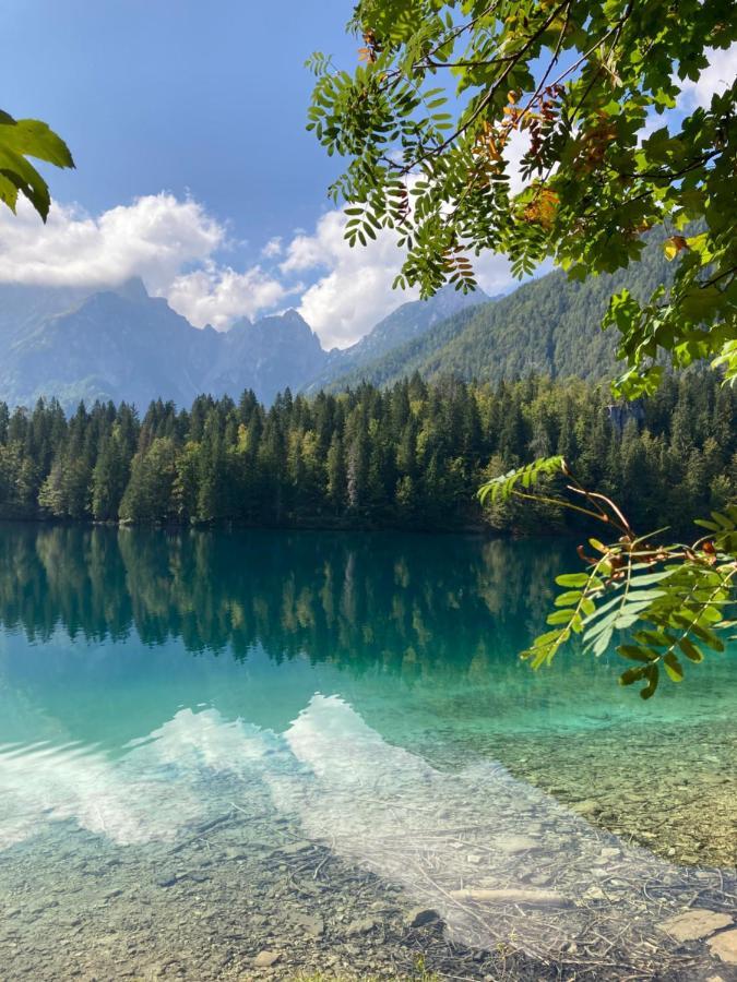 Apartments Belopeski Dvori Kranjska Gora Eksteriør billede