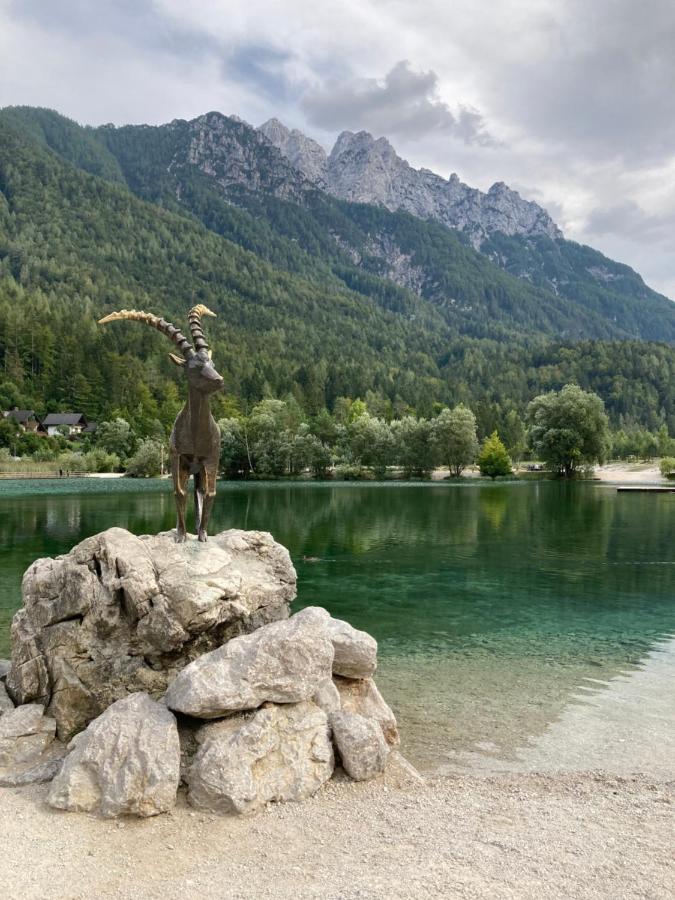 Apartments Belopeski Dvori Kranjska Gora Eksteriør billede